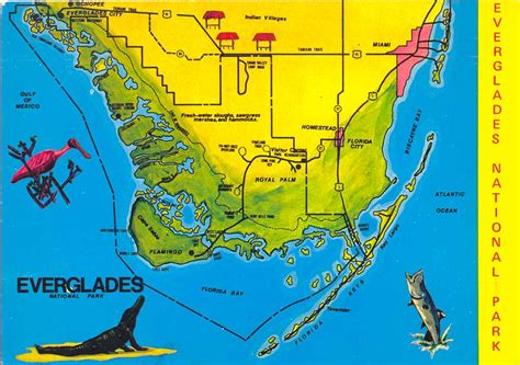 POSTCARDY: the postcard explorer: Map: Everglades National Park