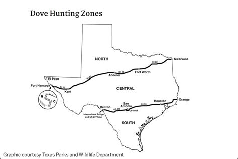 Dove hunting season approaches for north, central zones - Texas Farm Bureau