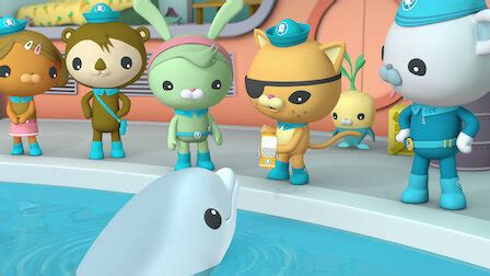 Watch Octonauts | Netflix