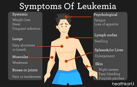 Leukemia Symptoms: Symptoms Of Leukemia Adults