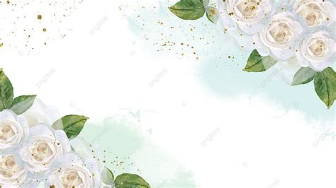 Watercolor Wedding Floral Background With White Roses, White Rose ...