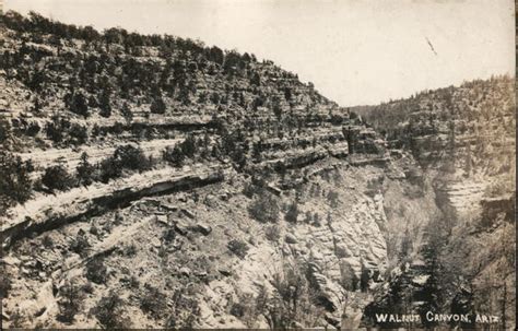 Walnut Canyon Flagstaff, AZ Postcard