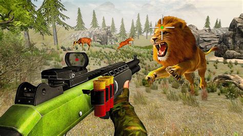 Wild Animal Hunting - Top of Friv 10000 Games Online