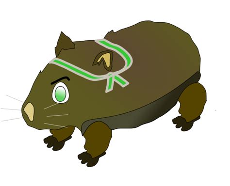 Cartoon Wombat - ClipArt Best