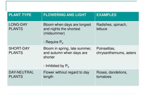 Some examples of long day,short day,and long day plants? - EduRev NEET ...