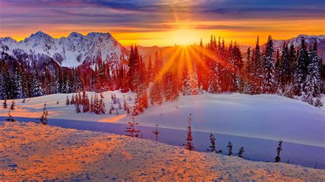 Winter Sunset Wallpaper (74+ pictures) - WallpaperSet