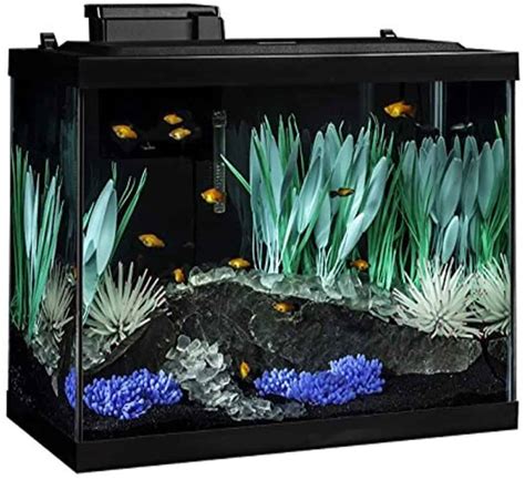 Best Tank For Guppies - Reviews and Buyer's Guide