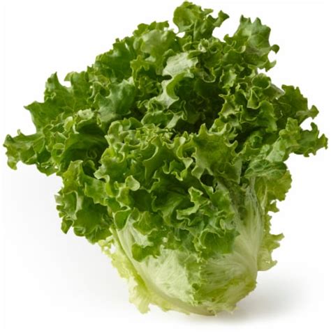 Green Leaf Lettuce, 1 ct - Fry’s Food Stores