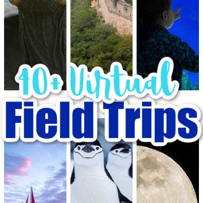 40+ Virtual Field Trips for Kids - Kids Activities Blog