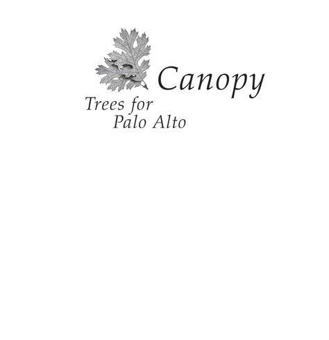 Canopy Logo Branding - Heidi B Lewis