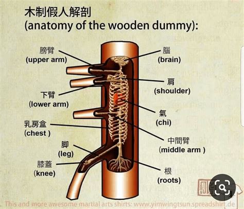 THE ANATOMY OF THE WOODEN DUMMY : r/WingChun