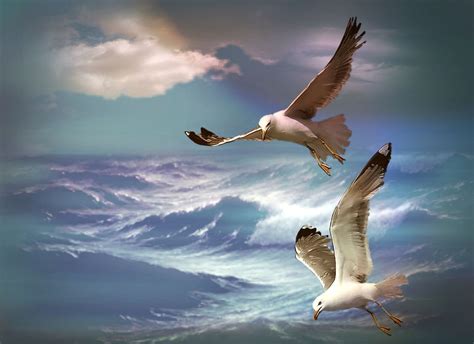 Seagulls Flying Over the Sea | Ocean waves painting, Seagulls flying ...