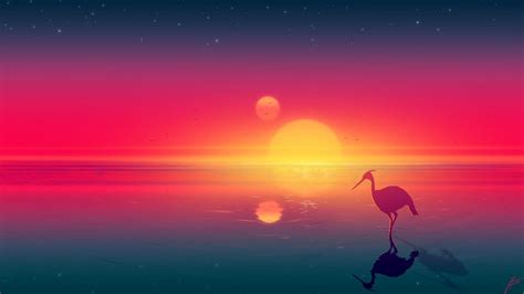 Sunset Flamingo Wallpaper - KoLPaPer - Awesome Free HD Wallpapers