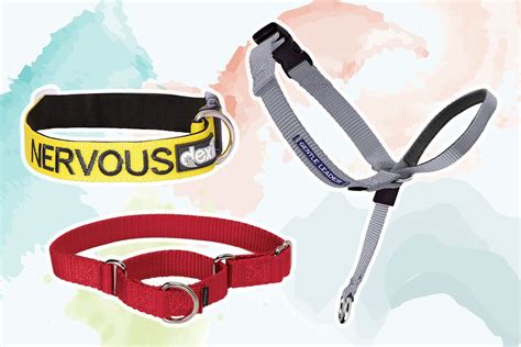 Are Shock Collars Bad For Small Dogs