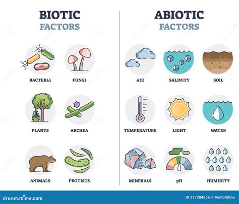 Biotic And Abiotic Factors As Biological Elements Division Outline ...