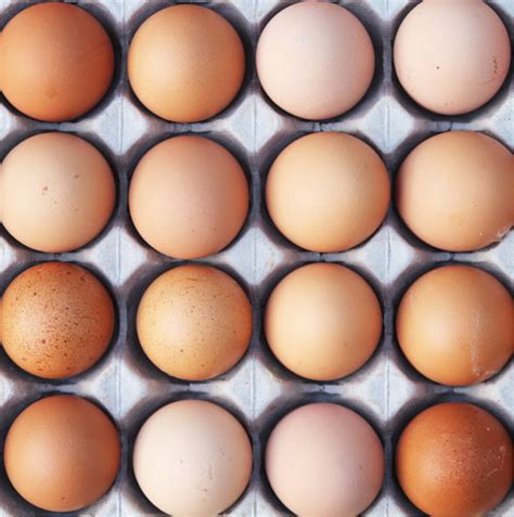 NUTRITIONAL VALUE OF POULTRY EGG: AN OVERVIEW