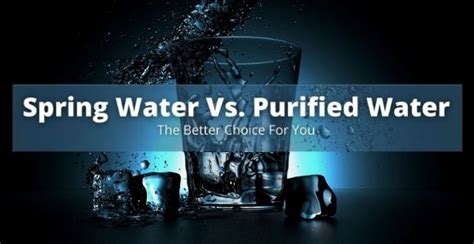 Spring Water Vs. Purified Water | Which is Better for You? - Kitchen Rank