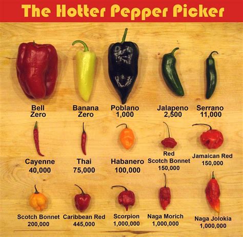 The Hotter Pepper Picker | Stuffed peppers, Stuffed hot peppers, Hot ...