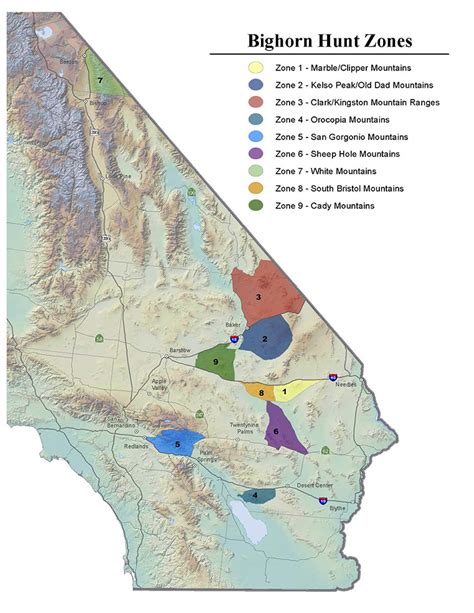 Bighorn Sheep Hunting