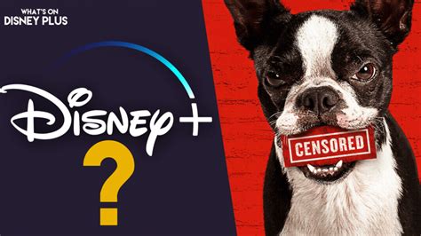 Is “Strays” Coming To Disney+? – What's On Disney Plus