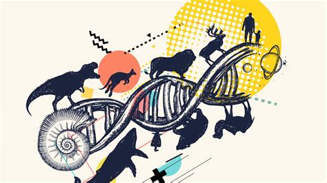 Genetics and Evolution - Biology Online Tutorial