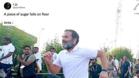 Rahul Gandhi’s 'Morning Run' Spawns Hilarious Memes on the Internet