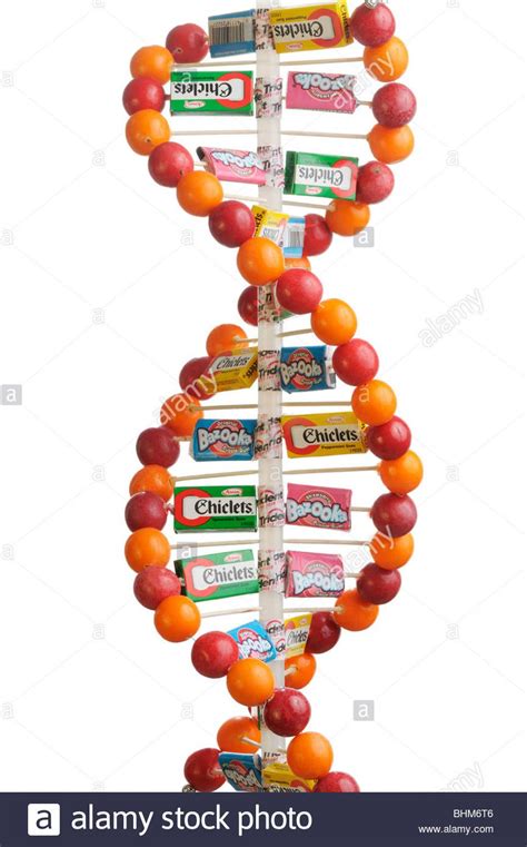 Download this stock image: DNA double helix model made of gum balls and ...