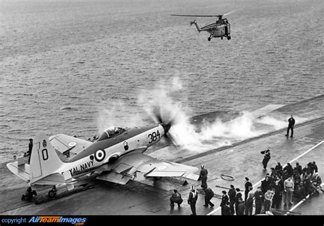 Westland Wyvern S4 (WP337) Aircraft Pictures & Photos (XG583) Aircraft ...