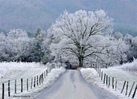 Snow in Cade's Cove, TN