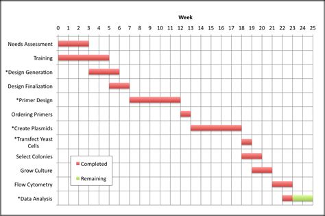 Group 15 Timeline