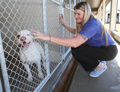 Renovations on tap for Marion County Animal Shelter | Ocala Gazette