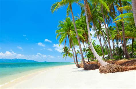 Koh Samui: The Alternative Island Getaway - Klook Travel Blog