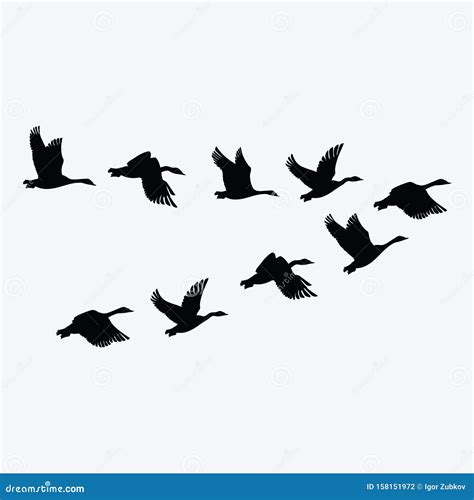 Flock Of Birds Flying Drawing