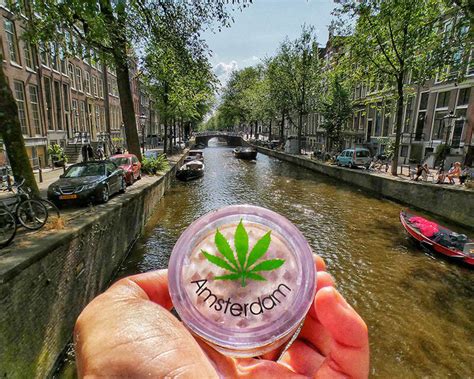 Can You Buy Weed In Amsterdam As A Tourist - Buy Walls