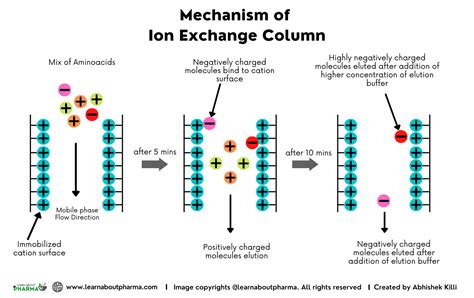 HPLC Columns – Definition, Principle, Types, and Maintenance