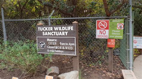 Tucker Wildlife Sanctuary (Silverado) - All You Need to Know BEFORE You Go