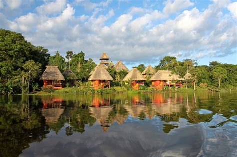 Yasuní National Park, Ecuador | National parks, Ecuador travel, Ecuador