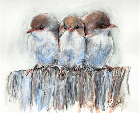 Three little birds by francyfra on DeviantArt