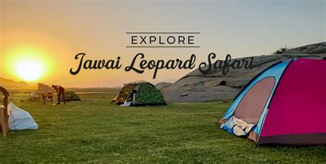 Leopard Safari in Jawai Rajasthan | Jawai Leopard Safari