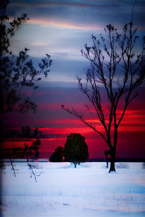 Red Winter Sunset : r/wonderAI