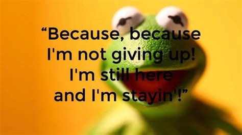 9 Inspirational Quotes from Kermit the Frog! | NineFrogs