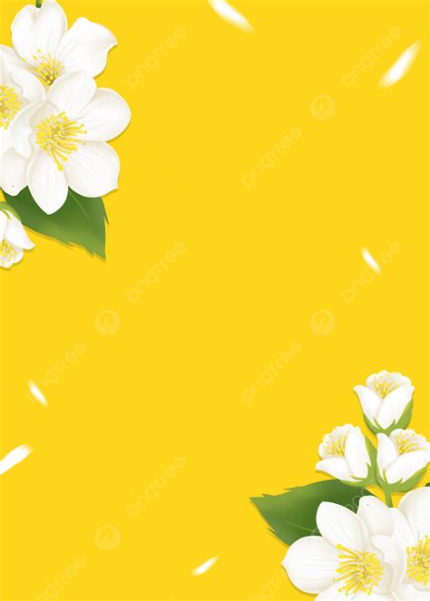 98 Background Kuning Bunga Pics - MyWeb