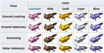 Types Of Axolotl Minecraft