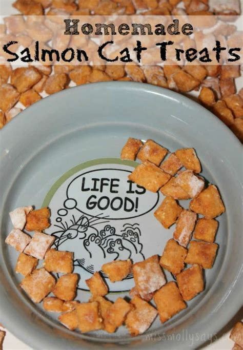 Homemade Salmon Cat Treats Recipe - Miss Molly Says