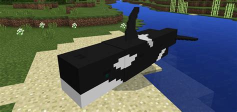 Orca Add-on | Minecraft PE Mods & Addons