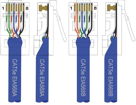 Cat 5 Cable Connector Wiring Diagram Cat5 Keystone Wiring Diagram ...