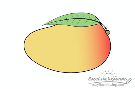 How to Draw a Mango Step by Step - EasyLineDrawing