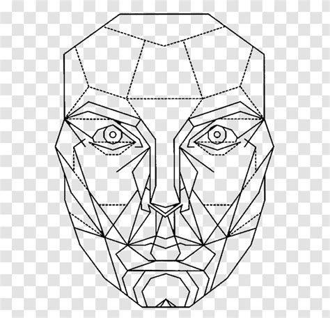 Golden Ratio Face Mathematics Facial Transparent PNG