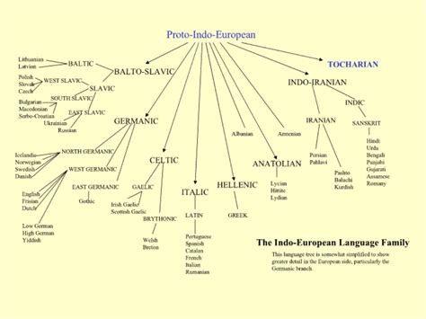 Indo-European Language Tree