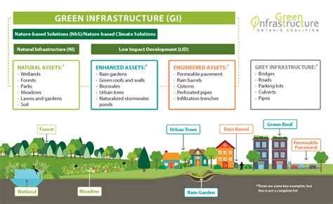 What Is A Natural Asset? – Grounded Solutions Services – Guelph, Ontario